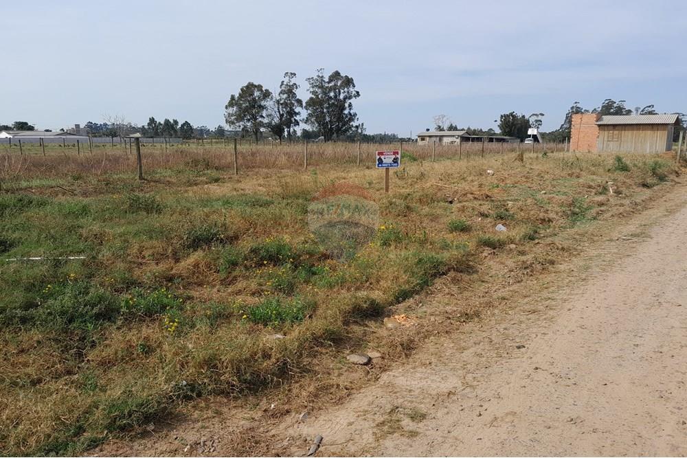 Terreno - Venda - Santa Rosa do Sul , Santa Catarina - 20250726_125843.jpg - 590491005-20