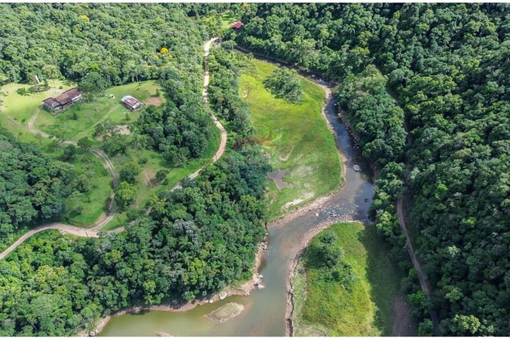 Terreno - Venda - Rio dos Cedros , Santa Catarina - FOTO 02 PRO - .JPG - 590211051-12