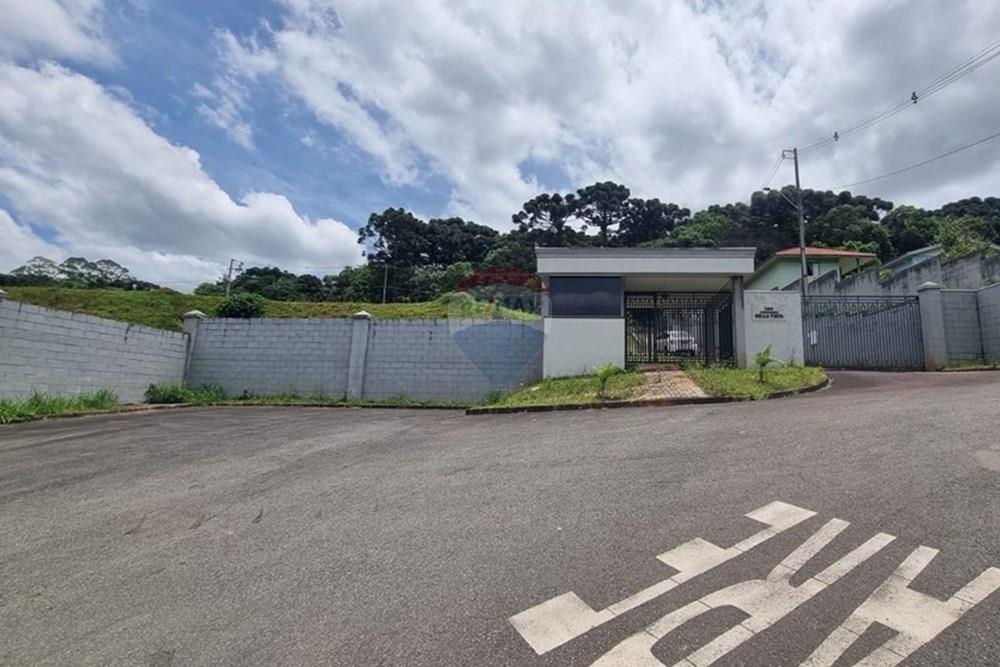 Terreno - Venda - Campo Largo , Paraná - 5f927f3d-4b2c-4b86-88e7-f1ff7a7172d2 (1).JPG - 590481021-29