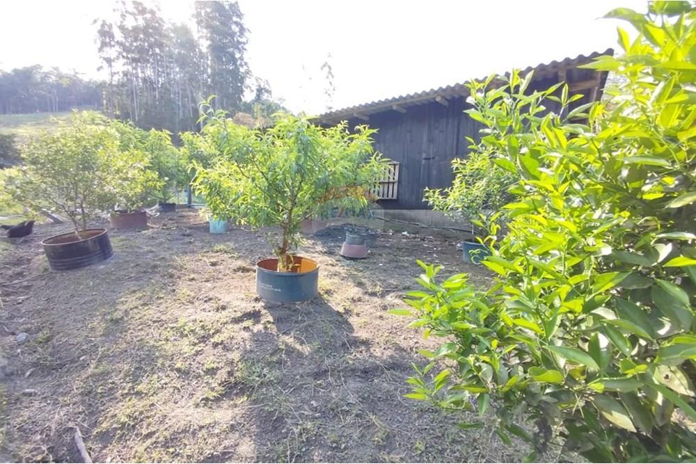 Chácara / Sítio / Fazenda - Venda - Benedito Novo , Santa Catarina - WhatsApp Image 2025-09-17 at 12.15.13.jpeg - 590301034-20