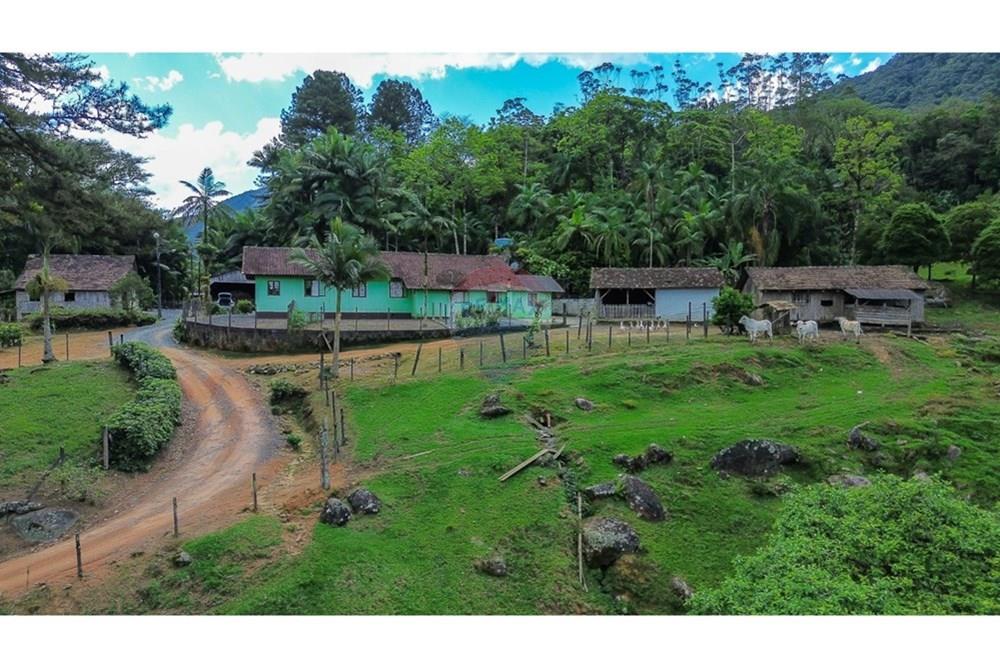 Chácara / Sítio / Fazenda - Venda - Rio dos Cedros , Santa Catarina - afda1878-5a96-4724-a4d2-b40f01258f56.jpeg - 590211035-78