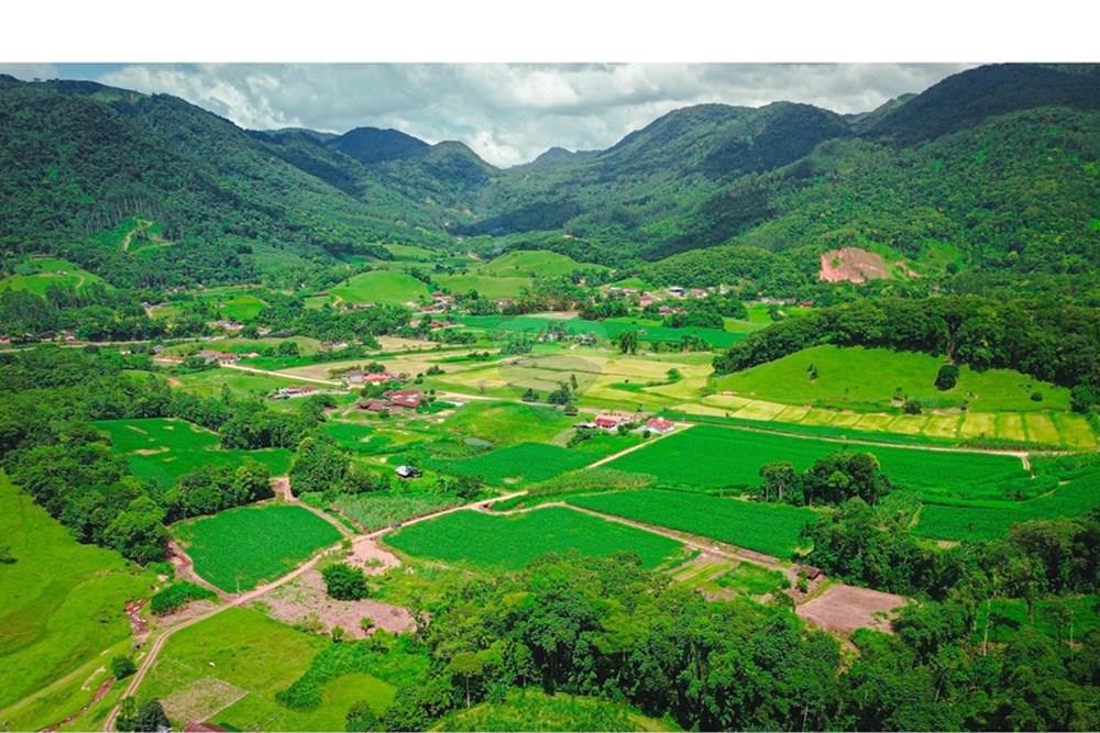 Terreno - Venda - Rio dos Cedros , Santa Catarina - DJI_0051.jpg - 590211035-40