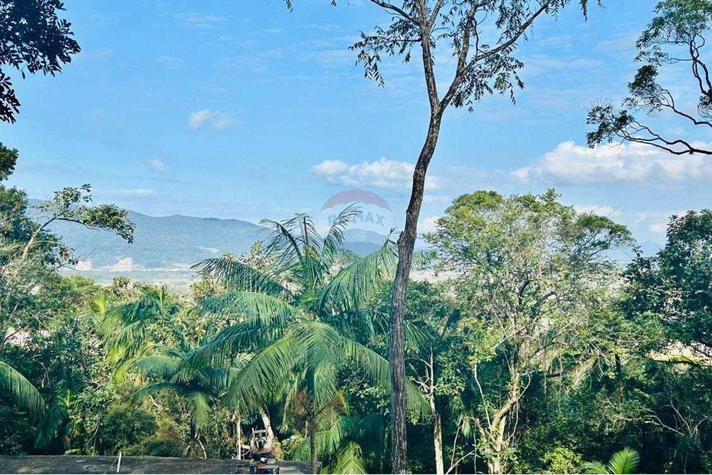 Chácara / Sítio / Fazenda - Venda - Itapema , Santa Catarina - WhatsApp Image 2025-07-14 at 16.25.51 (1).jpeg - 590401053-3