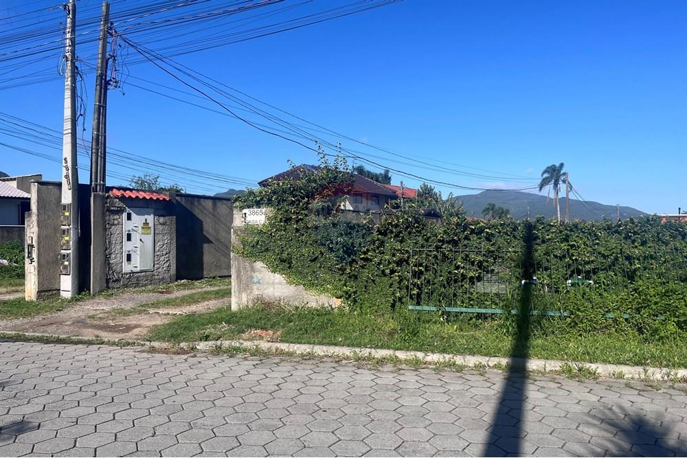 Terreno - Venda - Florianópolis , Santa Catarina - IMG_6355.jpg - 590101035-10