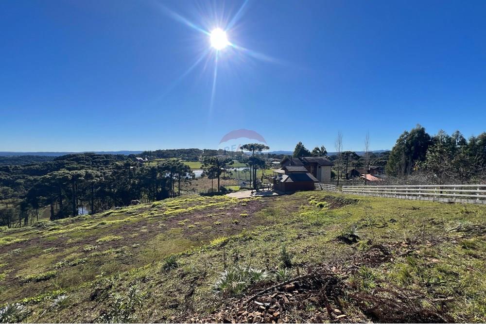 Terreno - Venda - Painel , Santa Catarina - WhatsApp Image 2025-06-11 at 15.16.40 (1).jpeg - 590071003-195