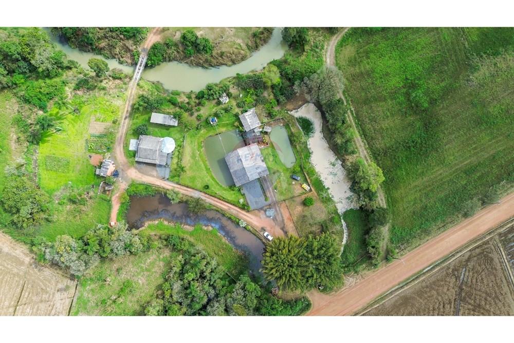 Chácara / Sítio / Fazenda - Venda - Doutor Pedrinho , Santa Catarina - WhatsApp Image 2025-09-16 at 16.40.52.jpeg - 590211064-3