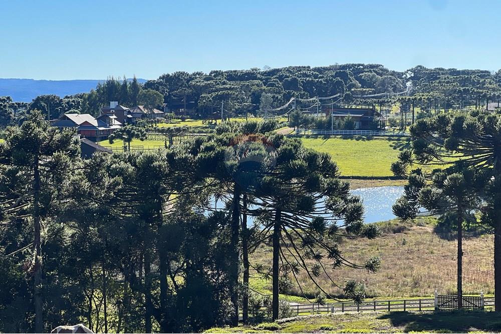 Terreno - Venda - Painel , Santa Catarina - WhatsApp Image 2025-06-11 at 15.16.34 (1).jpeg - 590071003-195