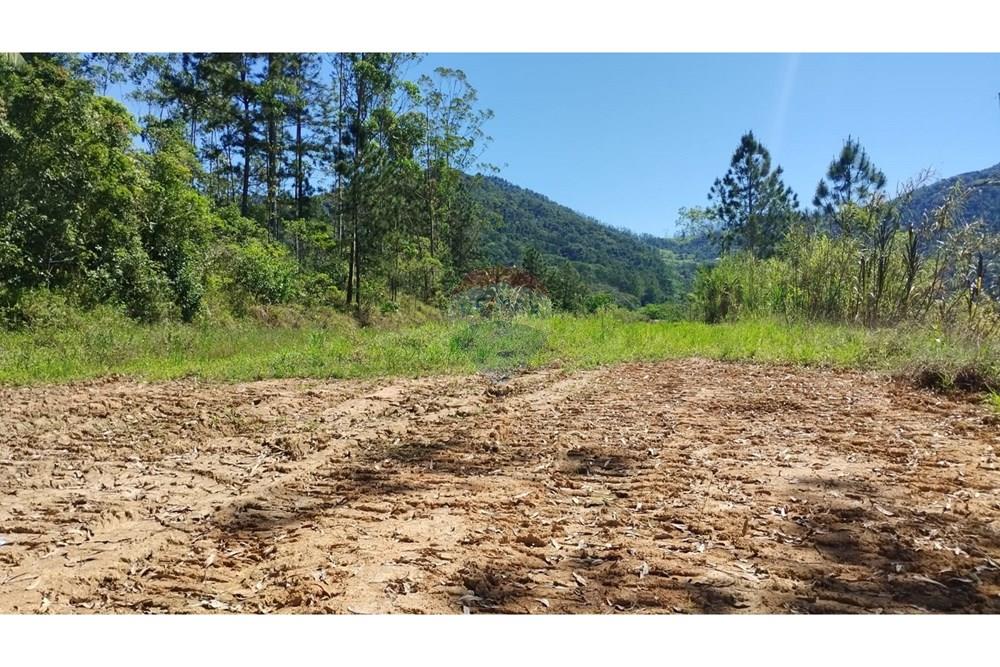 Terreno - Venda - Timbó , Santa Catarina - c07f4f7f-4466-4262-a1a1-35711a5d27d4.jpg - 590211007-109