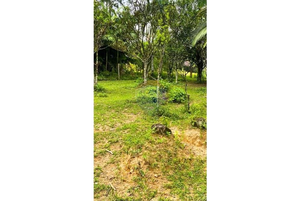 Chácara / Sítio / Fazenda - Venda - Jaraguá do Sul , Santa Catarina - WhatsApp Image 2025-09-16 at 09.24.49 (2).jpeg - 590451031-26