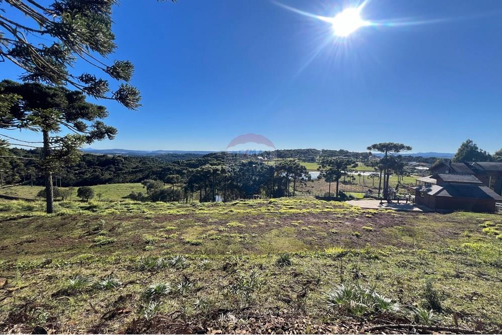 Terreno - Venda - Painel , Santa Catarina - WhatsApp Image 2025-06-11 at 15.16.36.jpeg - 590071003-195
