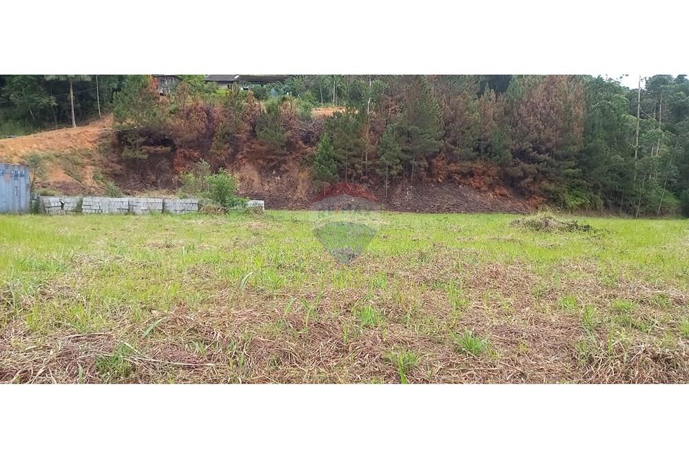 Terreno - Venda - Ascurra , Santa Catarina - WhatsApp Image 2024-12-03 at 09.34.19 (2).jpeg - 590211033-25