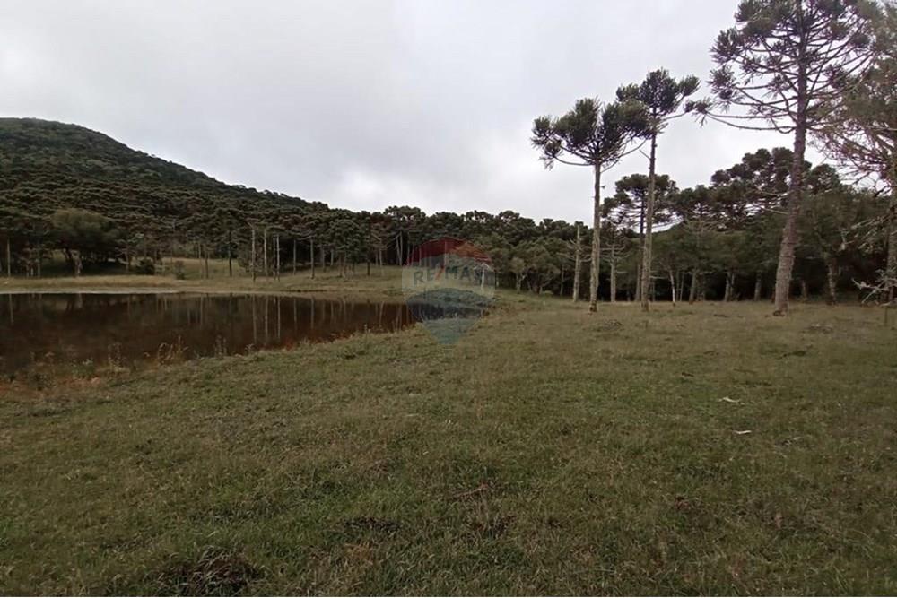 Chácara / Sítio / Fazenda - Venda - Painel , Santa Catarina - IMG-20250512-WA0066.jpg - 590071044-16