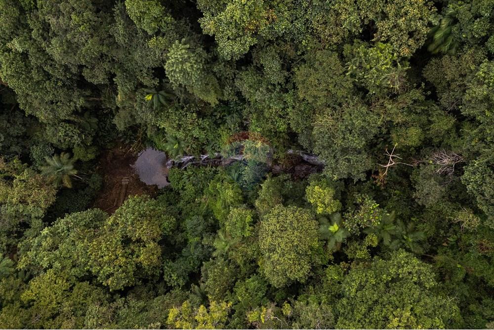 Chácara / Sítio / Fazenda - Venda - São Martinho , Santa Catarina - DJI_20250711084041_0745_D_DJI4.jpg - 590461004-17