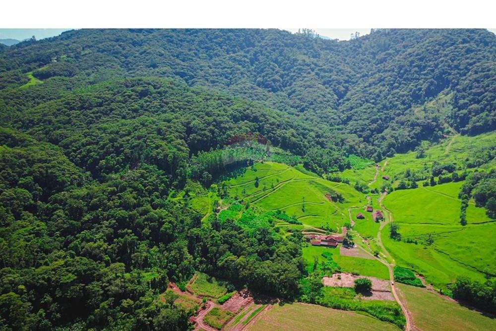 Terreno - Venda - Rio dos Cedros , Santa Catarina - DJI_0860-2.jpg - 590211035-40