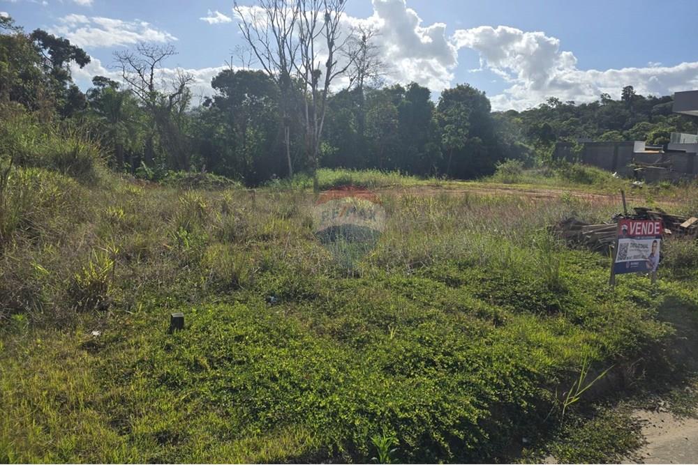 Terreno - Venda - Indaial , Santa Catarina - WhatsApp Image 2025-10-23 at 10.24.25 (2).jpeg - 590211033-74