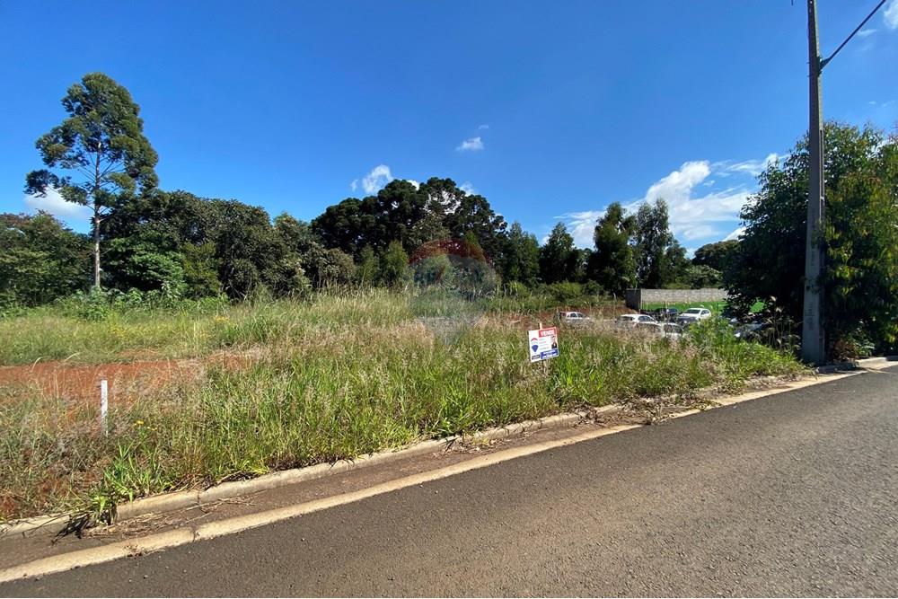 Terreno - Venda - Xaxim , Santa Catarina - IMG_7423.jpg - 590421003-26