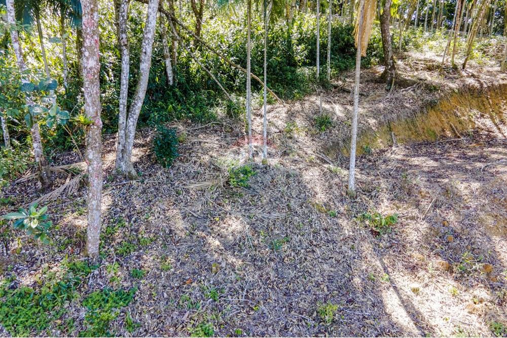 Chácara / Sítio / Fazenda - Venda - Itapema , Santa Catarina - 03 (1).jpg - 590401053-3