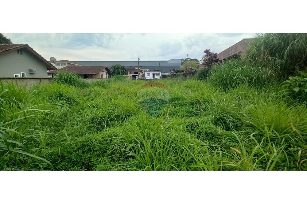Terreno - Venda - Indaial , Santa Catarina - WhatsApp Image 2025-09-04 at 18.13.32 (1).jpeg - 590211033-67