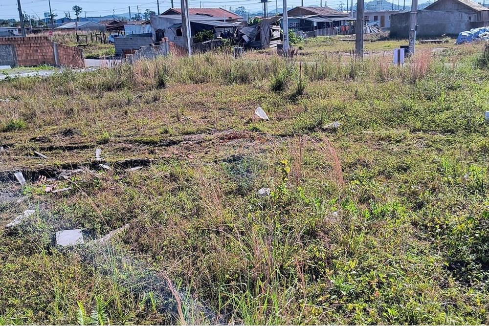 Terreno - Venda - Araquari , Santa Catarina - WhatsApp Image 2025-06-17 at 15.01.51 (1).jpeg - 590501001-117