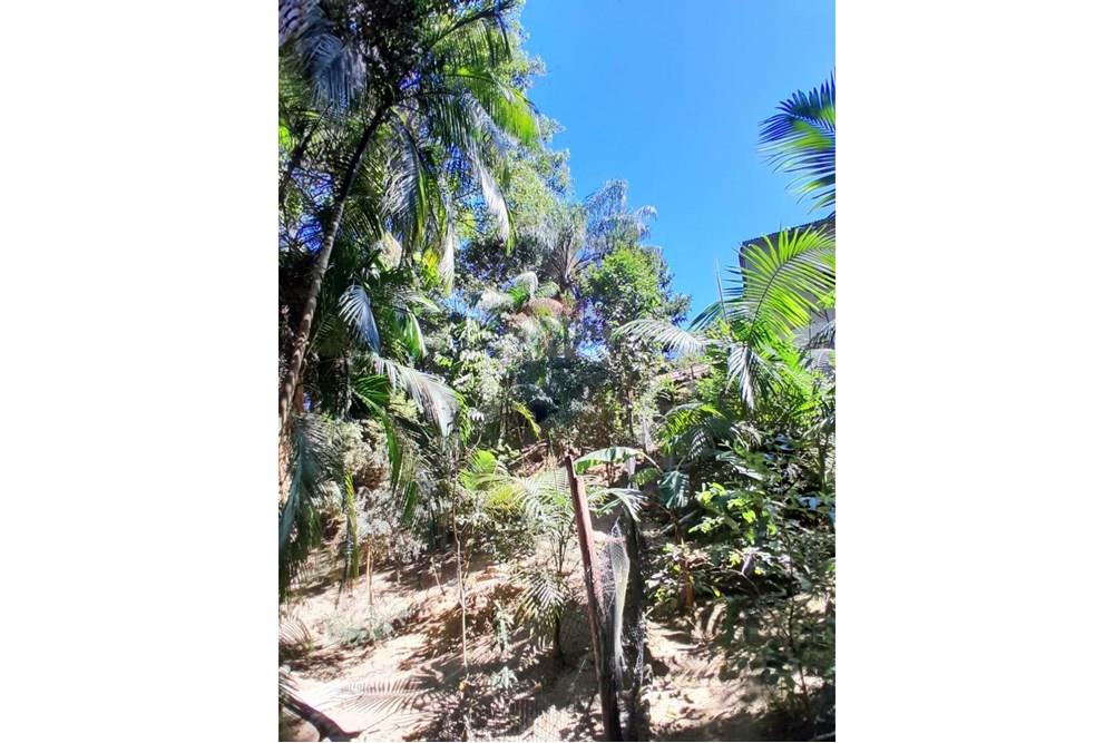 Terreno - Venda - Gravatal , Santa Catarina - WhatsApp Image 2025-10-20 at 17.47.40.jpeg - 590461027-11