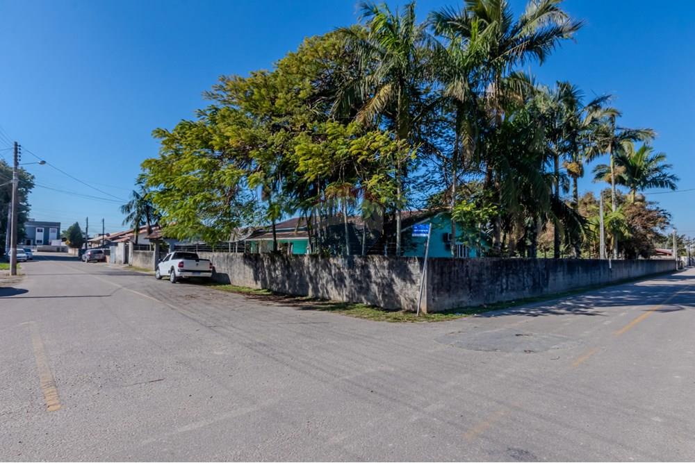 Terreno - Venda - Tijucas , Santa Catarina - IMG_9900.jpg - 590531034-1