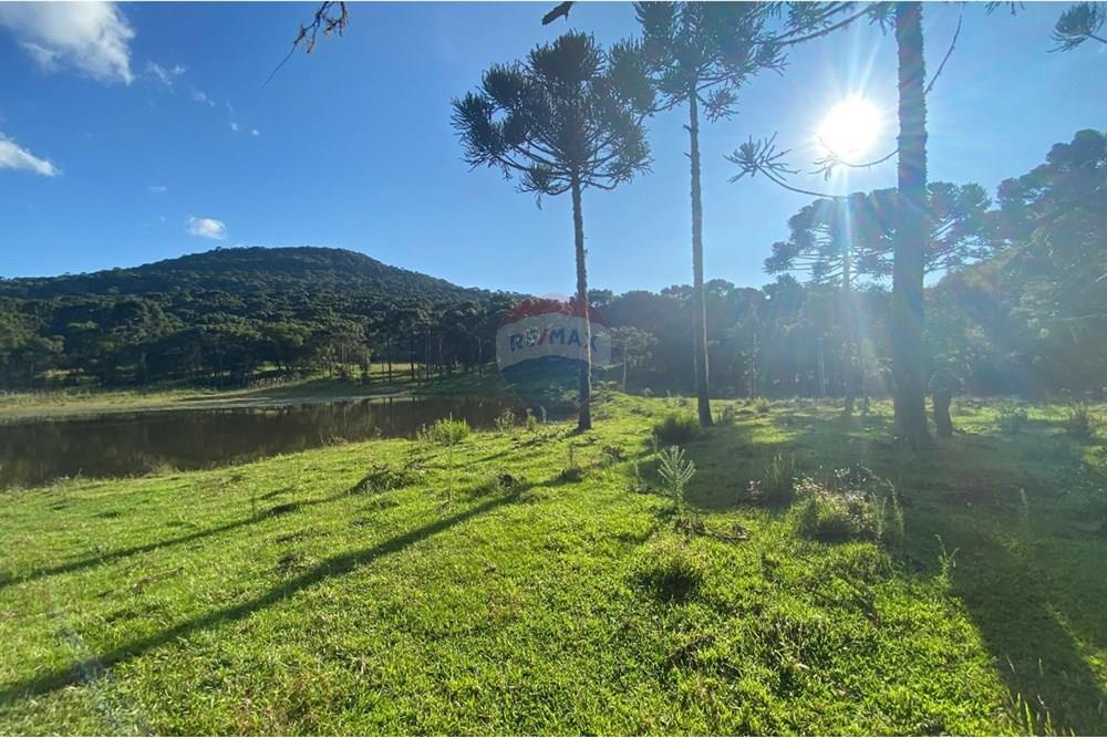 Chácara / Sítio / Fazenda - Venda - Painel , Santa Catarina - WhatsApp Image 2025-05-09 at 11.33.21.jpeg - 590071044-16