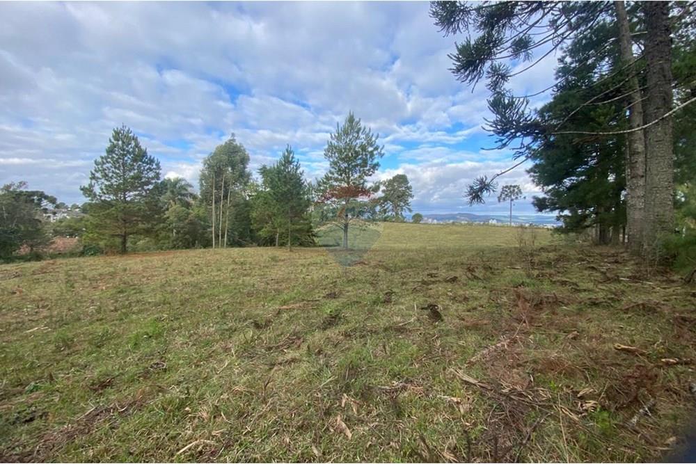 Terreno - Venda - Lages , Santa Catarina - 5ee127e9-3be5-484c-b45e-eabcb6b14847.jpg - 590071041-17