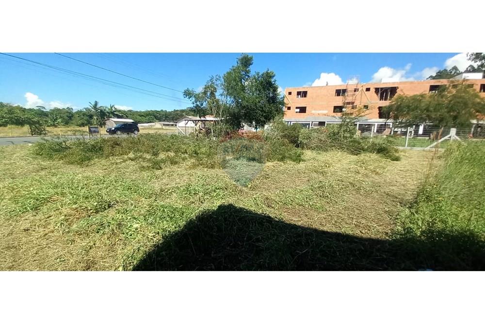 Terreno - Venda - Timbó , Santa Catarina - WhatsApp Image 2025-03-20 at 13.39.25.jpeg - 590211033-46