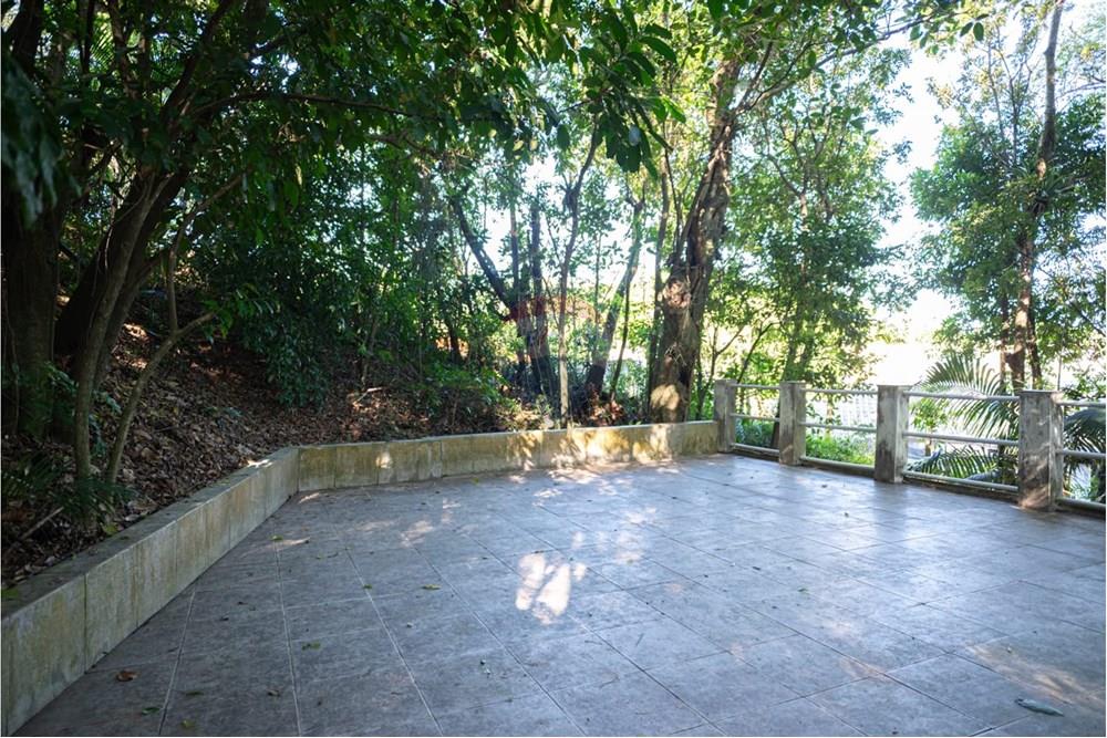 Chácara / Sítio / Fazenda - Venda - Tubarão , Santa Catarina - WhatsApp Image 2025-07-02 at 17.14.46(1).jpeg - 590461003-33