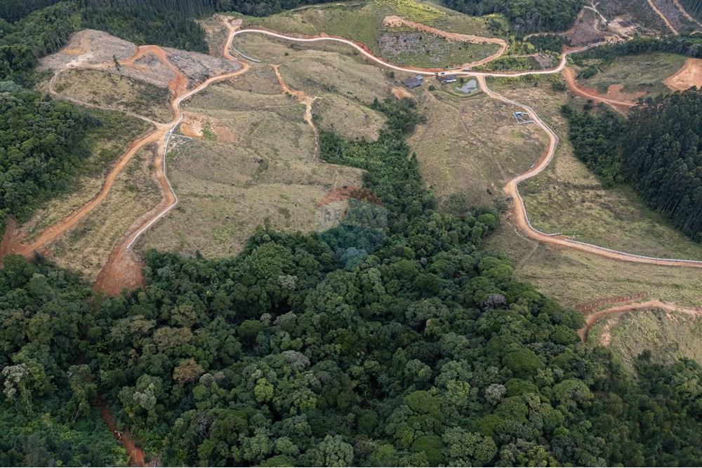 Chácara / Sítio / Fazenda - Venda - São Martinho , Santa Catarina - DJI_20250711082614_0726_D_DJI4.jpg - 590461004-17