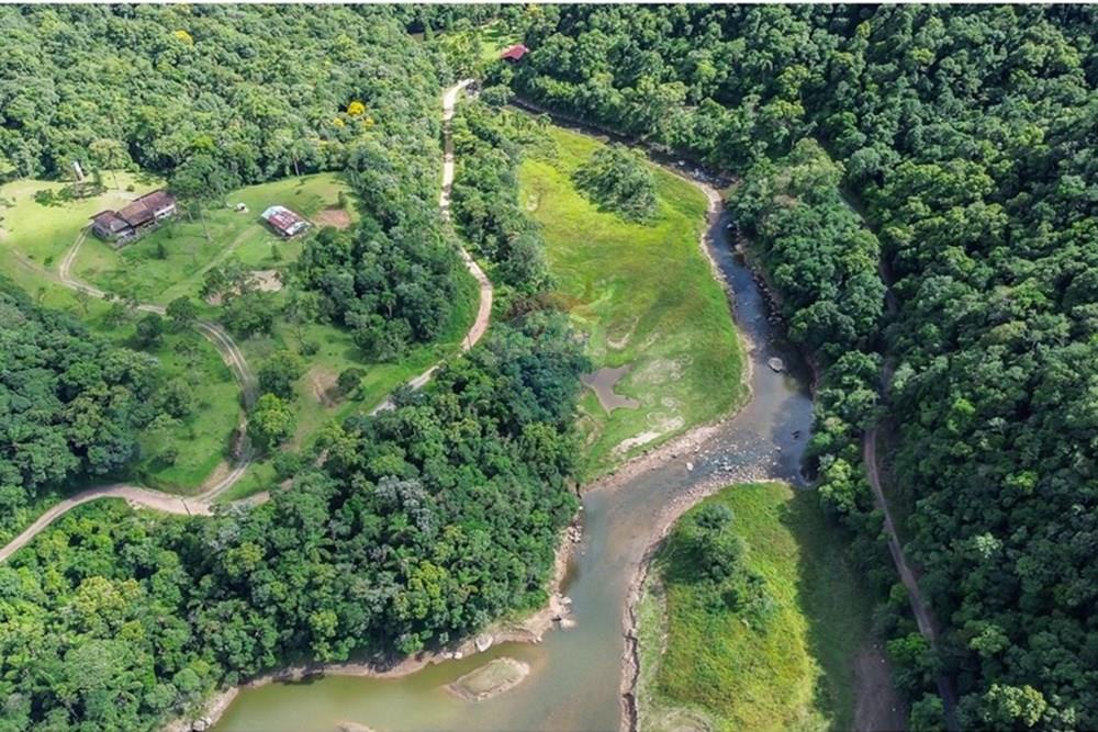 Terreno - Venda - Rio dos Cedros , Santa Catarina - FOTO 02 PRO - .JPG - 590211051-11