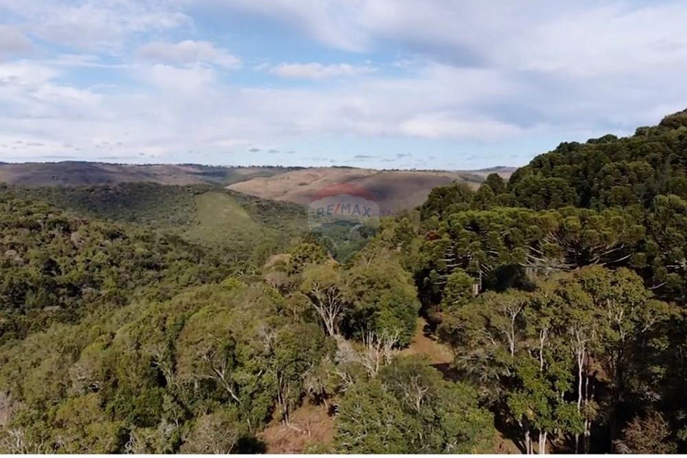 Chácara / Sítio / Fazenda - Venda - Capão Alto , Santa Catarina - WhatsApp Image 2025-07-16 at 2.09.04 PM (6).jpeg - 590071044-10