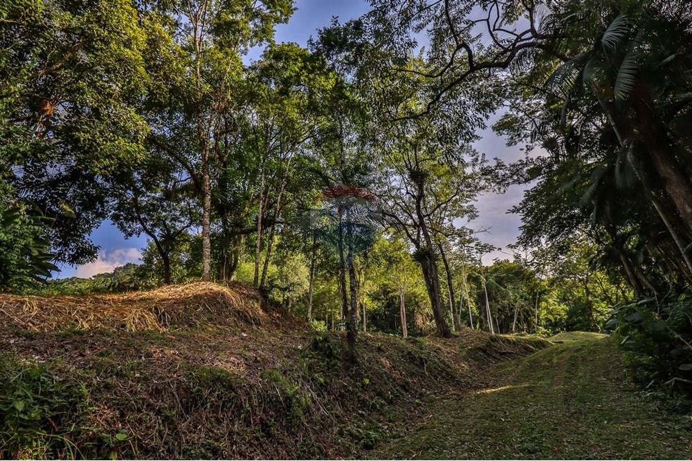 Terreno - Venda - Timbó , Santa Catarina - WhatsApp Image 2025-05-06 at 20.15.45 (6).jpeg - 590211046-8