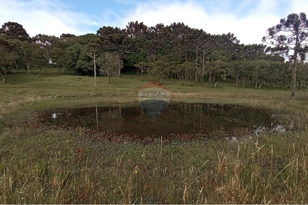 Chácara / Sítio / Fazenda - Venda - Painel , Santa Catarina - IMG-20250512-WA0076.jpg - 590071044-16