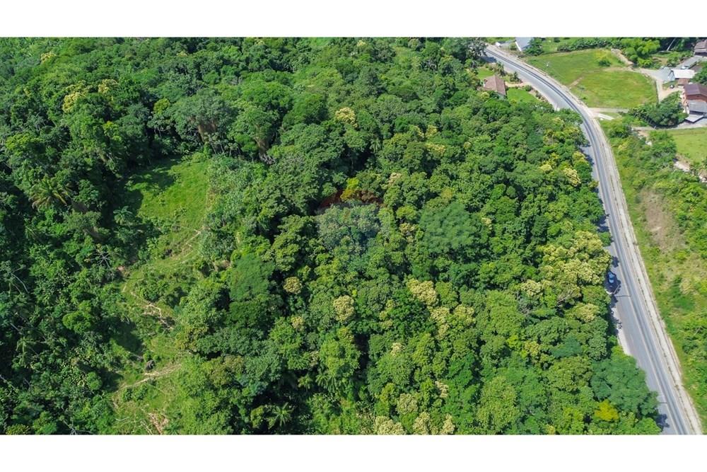 Terreno - Venda - Timbó , Santa Catarina - WhatsApp Image 2025-03-06 at 16.36.10 (1).jpeg - 590211051-18