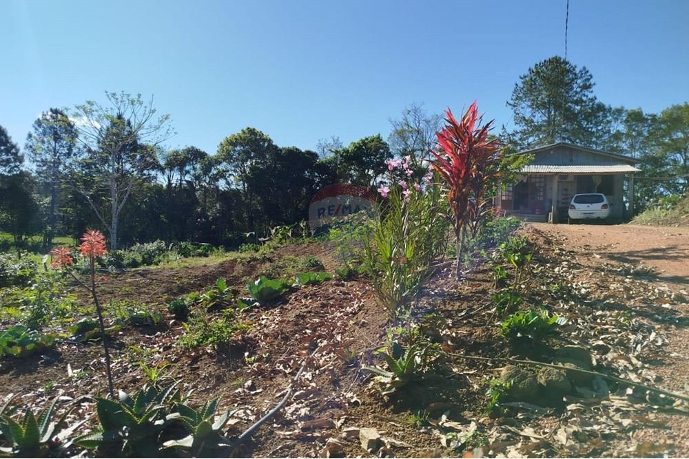 Chácara / Sítio / Fazenda - Venda - Benedito Novo , Santa Catarina - IMG-20241028-WA0368.jpg - 590301027-92