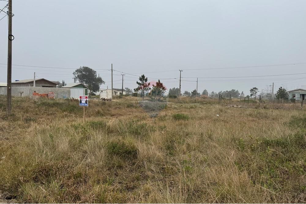 Terreno - Venda - Balneário Arroio do Silva , Santa Catarina - IMG_7538.jpeg - 590491012-9