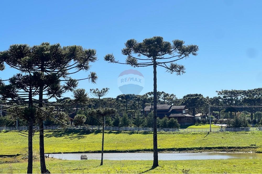 Terreno - Venda - Painel , Santa Catarina - WhatsApp Image 2025-06-11 at 15.16.06.jpeg - 590071003-194