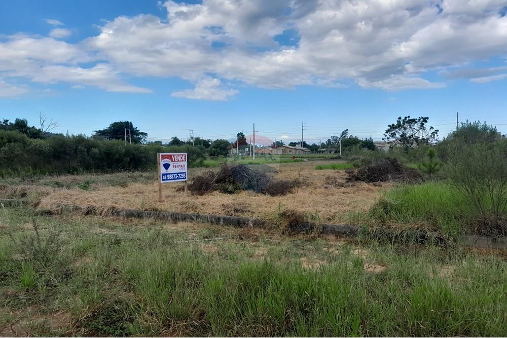 Terreno - Venda - Santa Rosa do Sul , Santa Catarina - 20250409_152113.jpg - 590491005-4