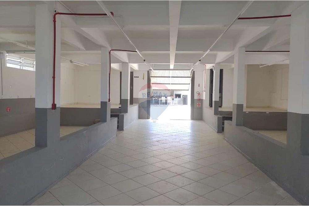 Outros - Alugar - Ilhota , Santa Catarina - modesto galpao interno.jpg - 590231101-23