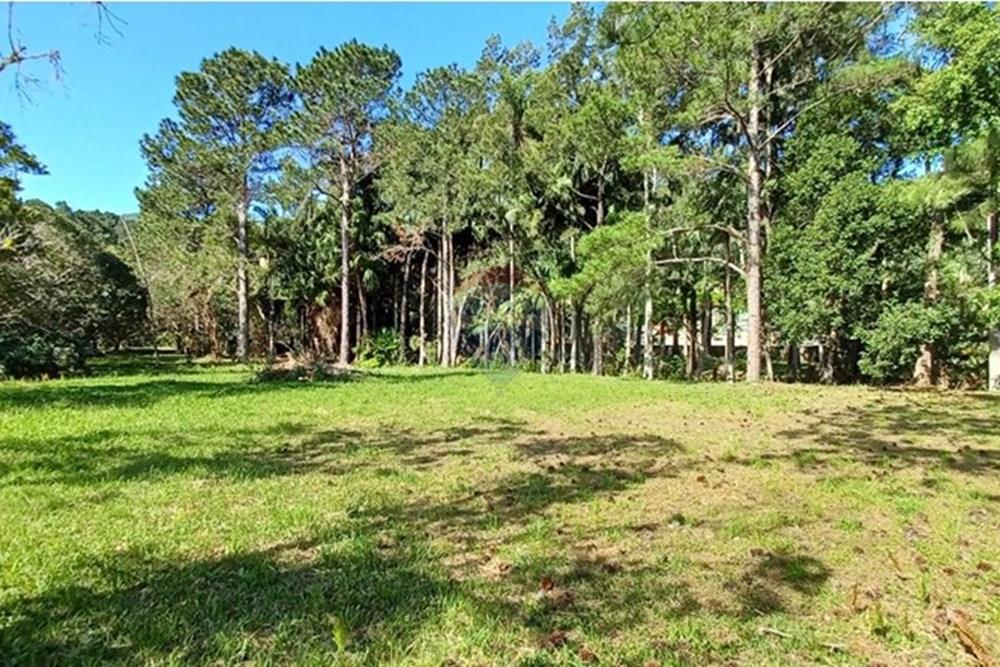 Terreno - Venda - Florianópolis , Santa Catarina - PHOTO-2025-05-15-17-03-23 (3).jpg - 590101001-59