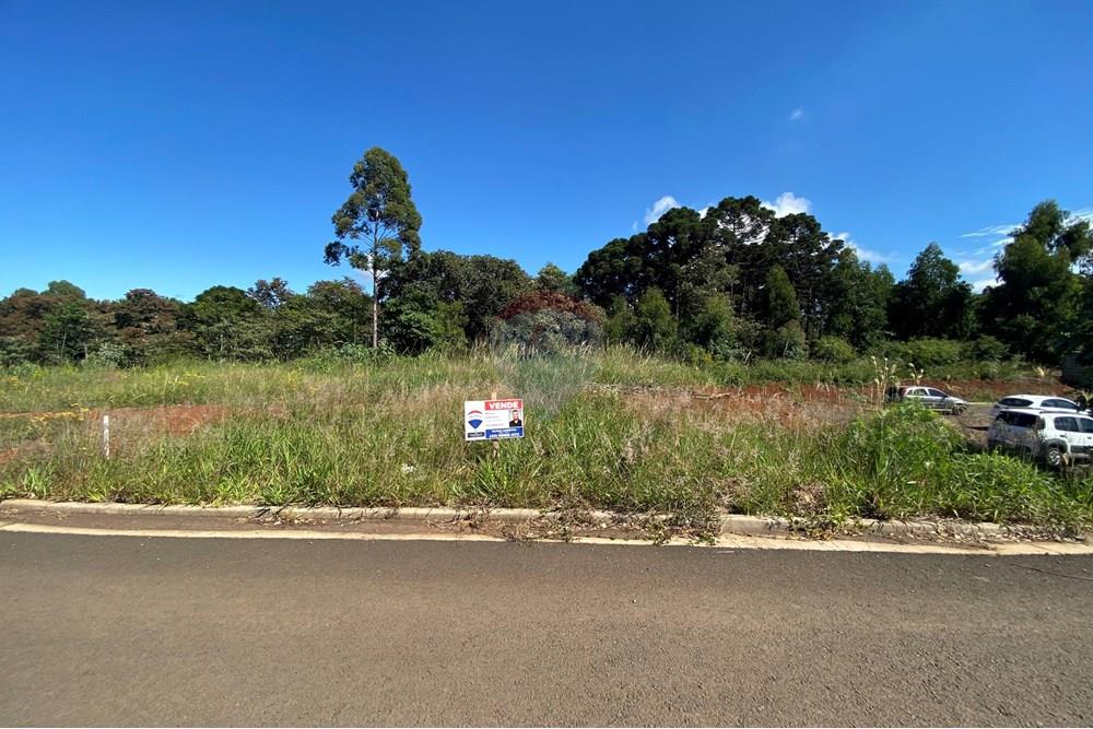 Terreno - Venda - Xaxim , Santa Catarina - IMG_7416.jpg - 590421003-26