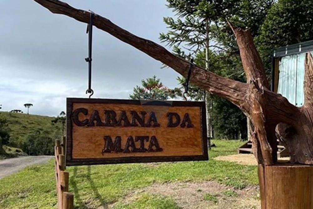 Chalé - Venda - Alfredo Wagner , Santa Catarina - cabana-da-mata (5).jpg - 590071002-445