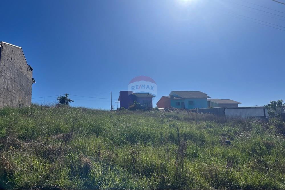 Terreno - Venda - Xaxim , Santa Catarina - IMG_3795.JPG - 590421001-235