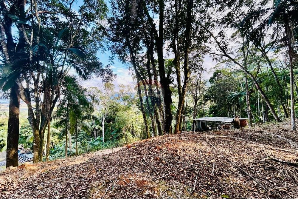 Chácara / Sítio / Fazenda - Venda - Itapema , Santa Catarina - WhatsApp Image 2025-07-14 at 16.25.22.jpeg - 590401053-3