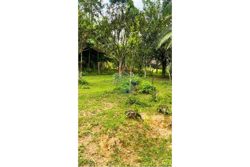 Chácara / Sítio / Fazenda - Venda - Jaraguá do Sul , Santa Catarina - WhatsApp Image 2025-09-16 at 09.32.35 (4).jpeg - 590451031-26