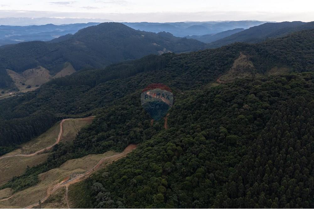 Chácara / Sítio / Fazenda - Venda - São Martinho , Santa Catarina - DJI_20250711080935_0691_D_DJI4.jpg - 590461004-17