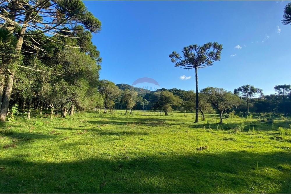 Chácara / Sítio / Fazenda - Venda - Painel , Santa Catarina - WhatsApp Image 2025-05-09 at 11.33.23 (2).jpeg - 590071044-16