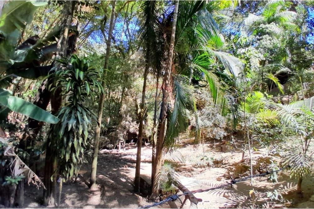 Terreno - Venda - Gravatal , Santa Catarina - WhatsApp Image 2025-10-20 at 17.47.40 (2).jpeg - 590461027-11