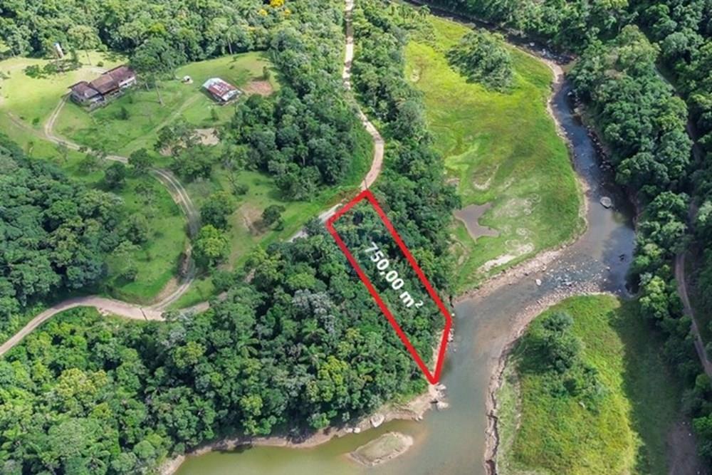 Terreno - Venda - Rio dos Cedros , Santa Catarina - FOTO PRO AREA TOTAL - .JPG - 590211051-13